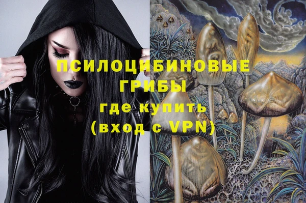 дмт Алексин