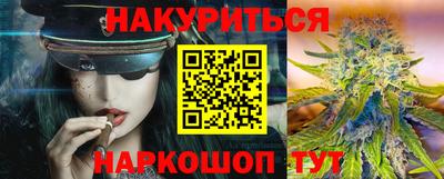 сатива Новодвинск