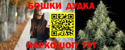 сатива Новодвинск
