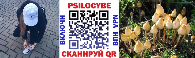 Псилоцибиновые грибы прущие грибы  ОМГ ОМГ как зайти  Павловский Посад  купить  