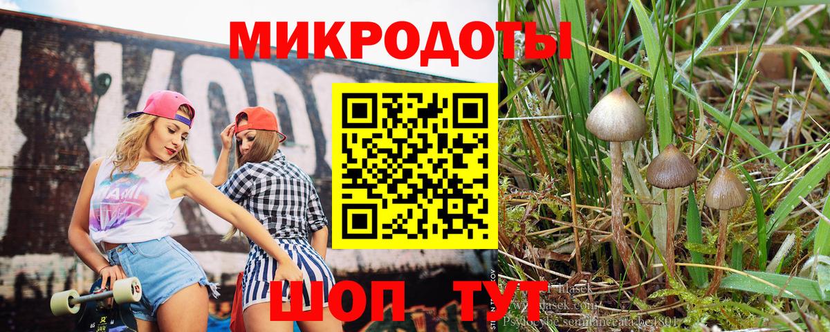 Галлюциногенные грибы мицелий Павловский Посад